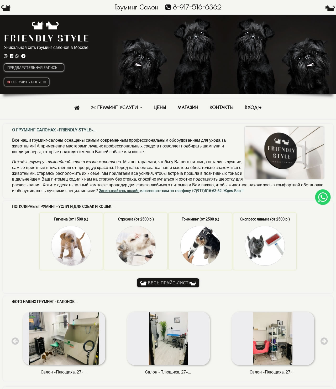 Website friendlystyle.ru